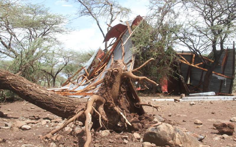 Expect strong winds and large waves in parts of Kenya - Met Department