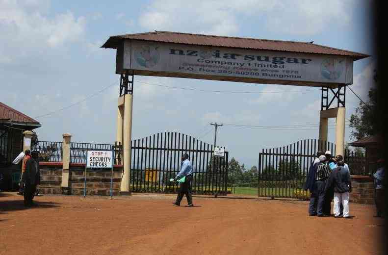 How Nzoia Sugar's Sh72m order vanished in transit for 9 years