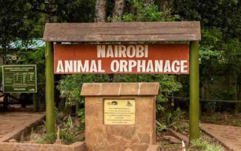 Nairobi National Park hosts court inspection in orphanage relocation dispute