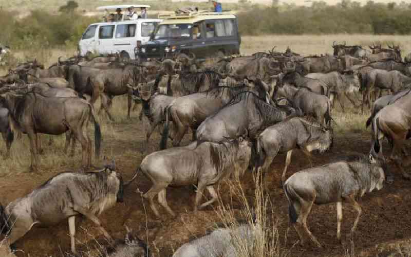 Tour operators call for infrastructure upgrade to sustain tourism growth