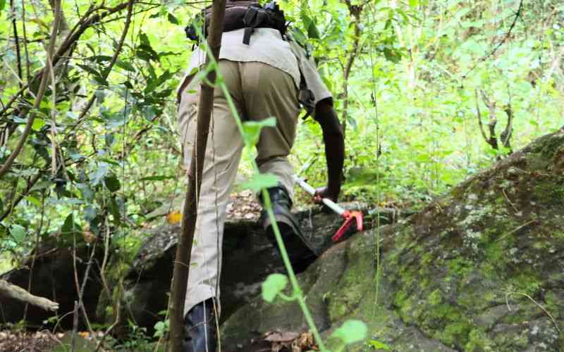 Giant python terrorises Kapseret village, residents want it relocated