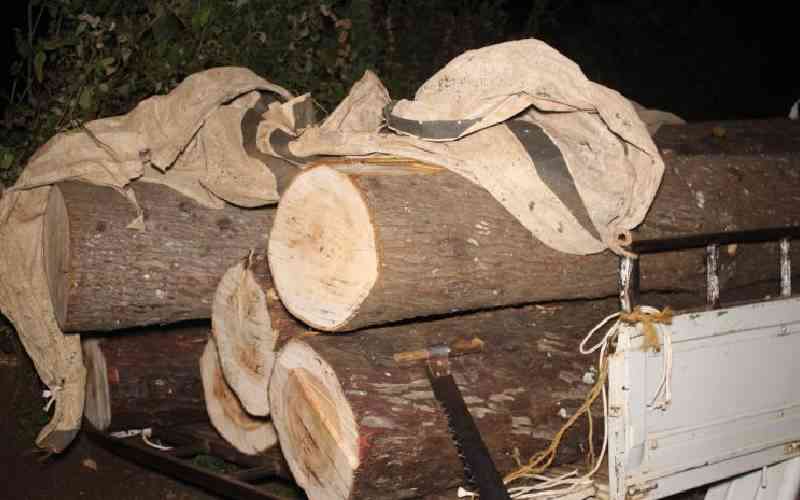 KFS banks on technology to curb illegal logging
