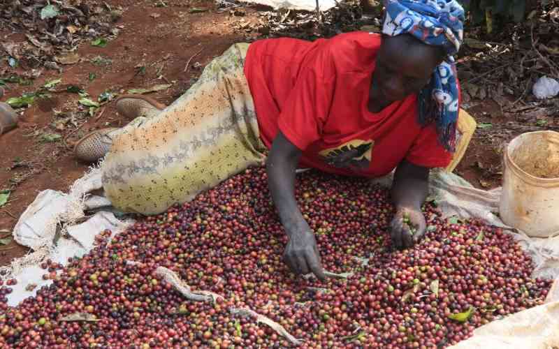 This is how State can ensure coffee farmers get good prices