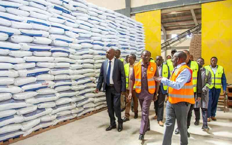 MPs grill firm's bosses over 1,544 extra bags used to package fake fertiliser