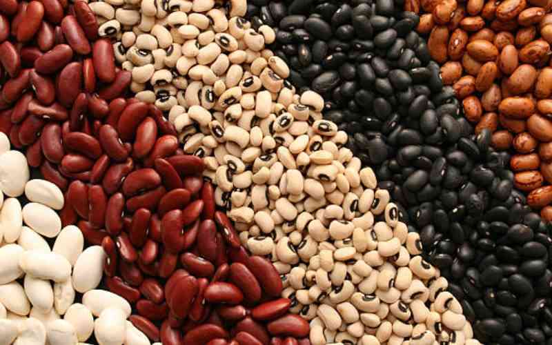 Brazil to host dry beans and special crops global summit next month