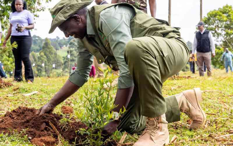 Farmers to benefit from Kaptagat forest conservation project