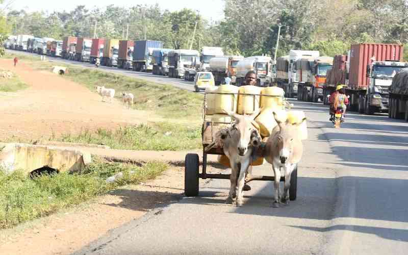 Senators launch probe into failure to operationalise trailer park in Busia