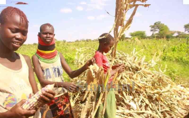 Turkana can produce high-value crops, experts say