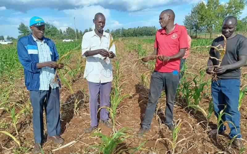 Four million farmers registered in drive to attain food security