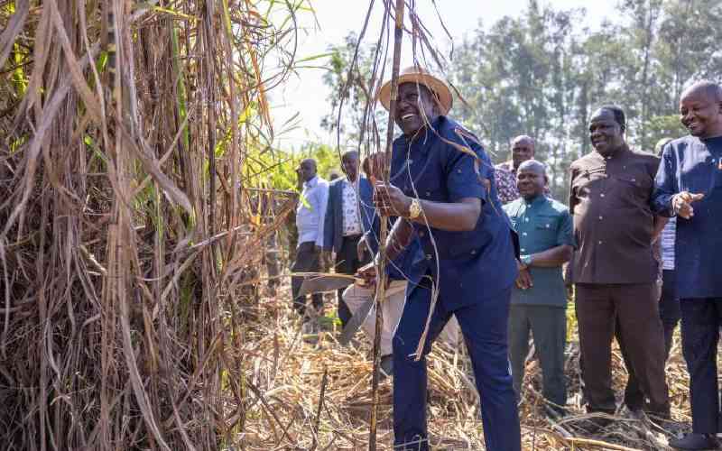 Revealed: Why more local companies are shutting down