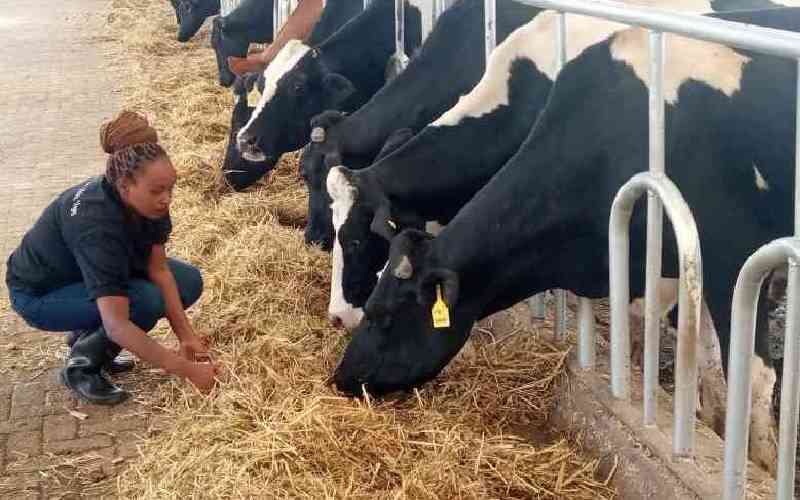 Farmers now demand independent tests of livestock vaccines