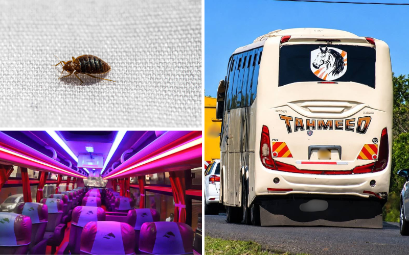 Tahmeed suspends used bedding transport after bedbug infestation caught in viral video