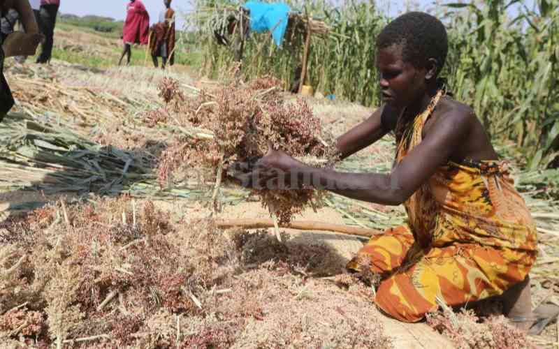 Food insecurity escalates in IGAD region amid climate shocks and multiple challenges