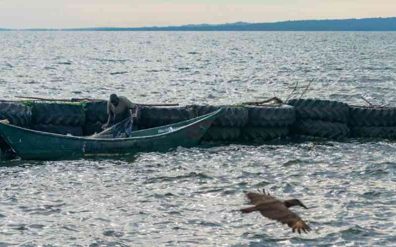 Joint EAC alliance seeks to turn the tide on choking Lake Victoria