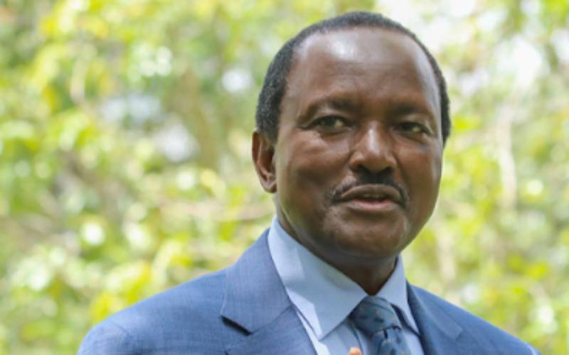 IEBC gives Kalonzo until Sunday to comply with presidential polls requirements