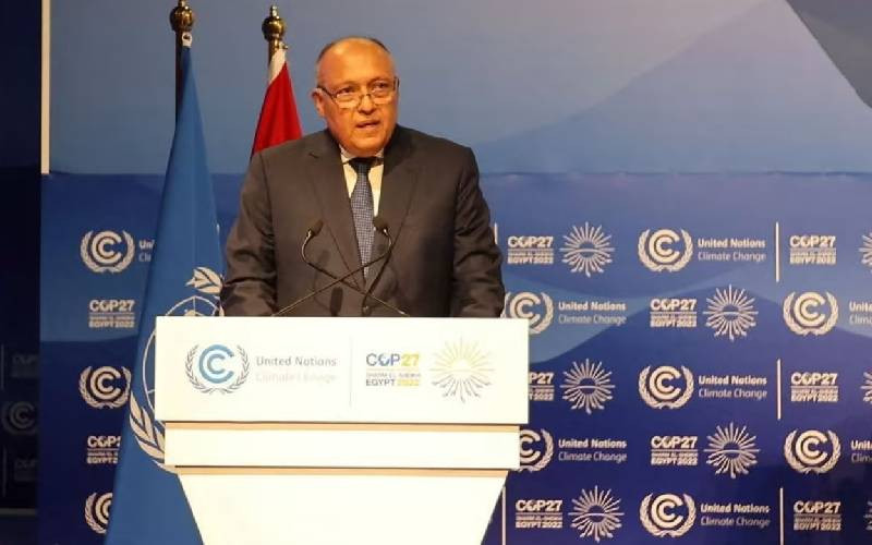 Egypt Foreign Minister Sameh Shoukry elected COP27 President, calls for multilateralism