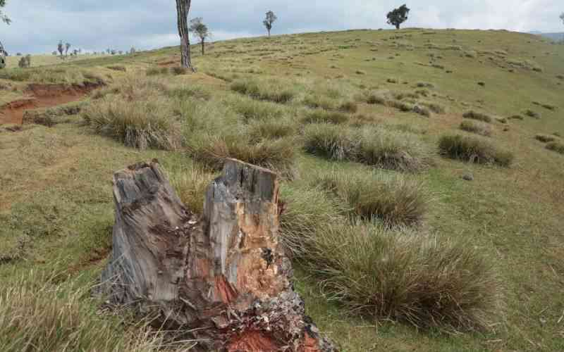 Squatters block private investor from developing disputed land
