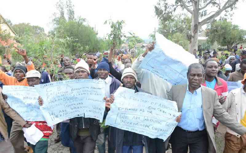 Flower farm workers up in arms over lack of representation by the Union