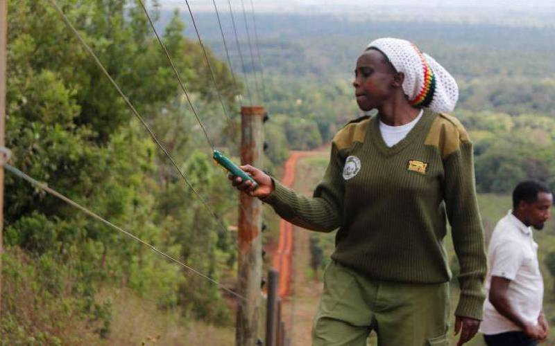 Court stops construction of state lodge, airstrip and golf course in Meru Forest.
