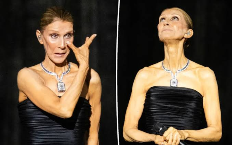 Celine Dion sheds tears in emotional Paris comeback after six-year break