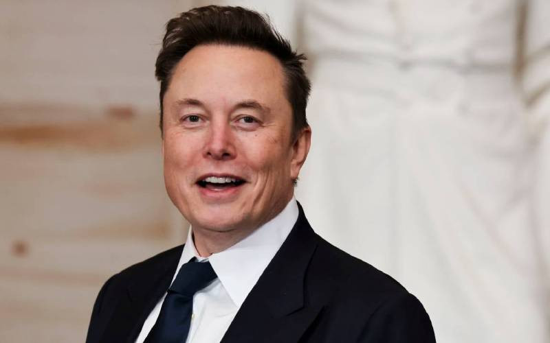 Musk has no formal decision-making authority: White House