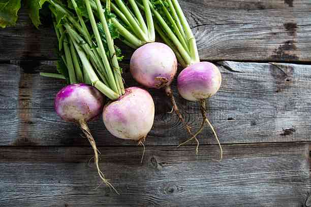 How to succeed in making cash from Turnip farming