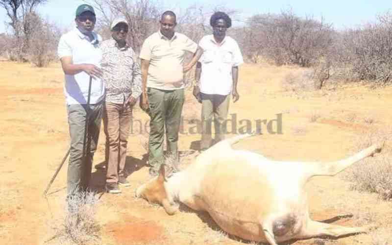 MPs summon Murkomen, Kanja over Samburu livestock killings