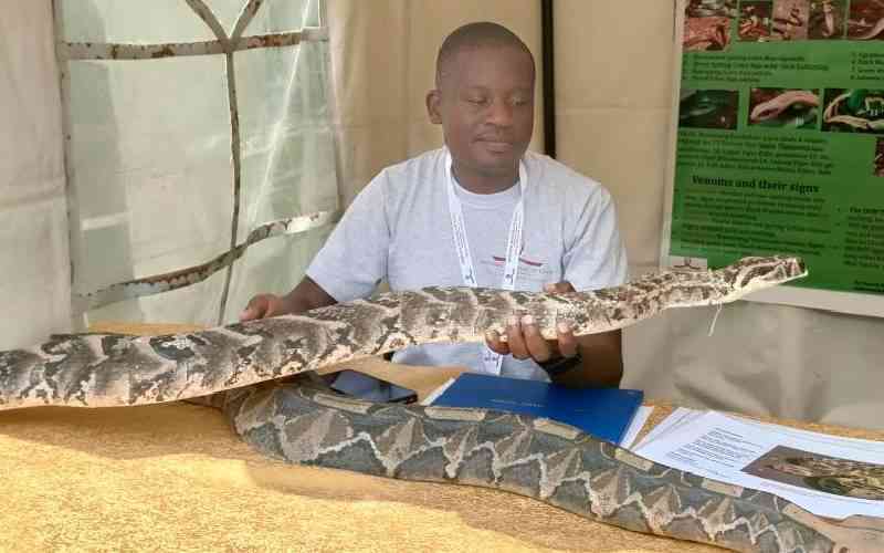 Snakebites still a major publi...