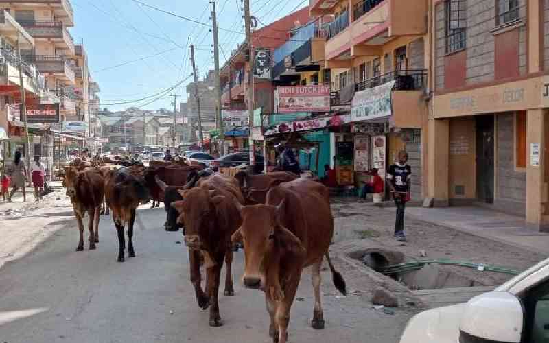 Why Eastlands' estates continue to lose value