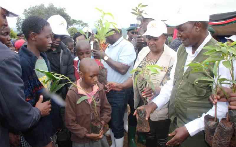 Over 100,000 trees planted in Ukambani