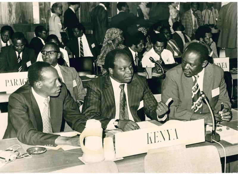 Mwai Kibaki: Complicated but devoted public servant