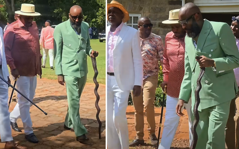 Shaffie Weru stirs debate with snake-themed walking stick at high-profile wedding