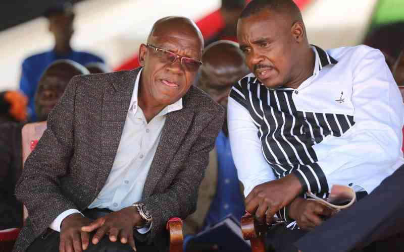 Mulembe musketeers flew too close to the sun