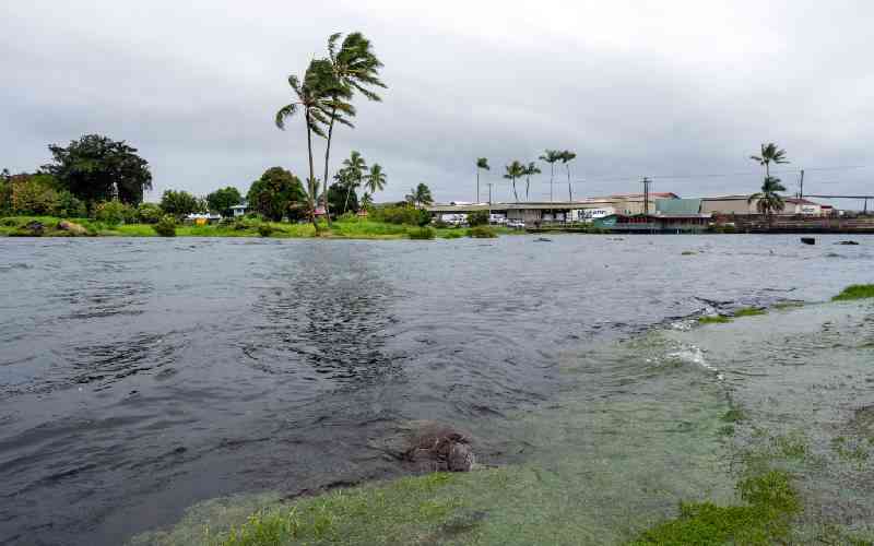 Hurricane Lala brushes past Hawaii's Big Island, bringing heavy rain