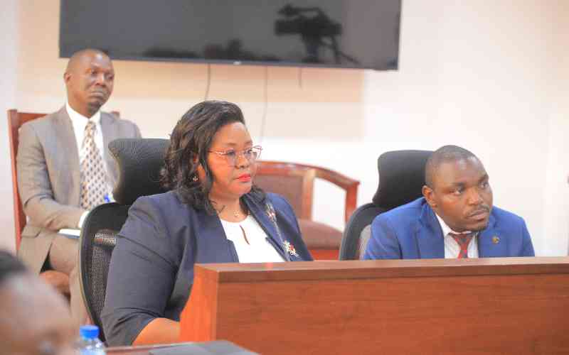 Inside Parliament's probe into secondary school fees and capitation