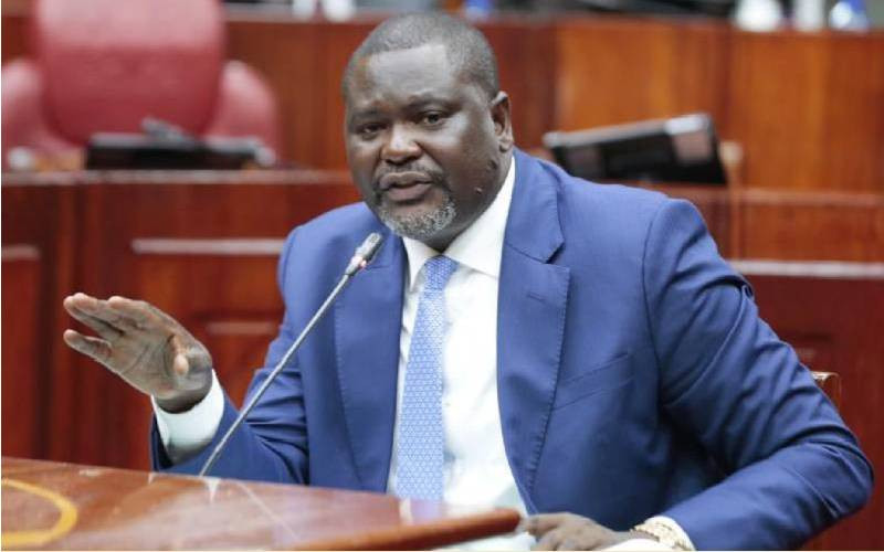 CS Ruku: I will split Mt Kenya to secure development