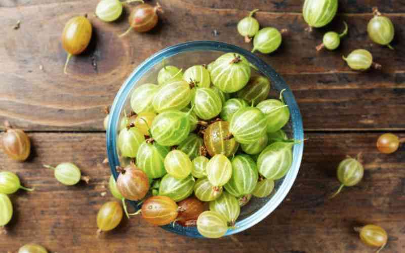 Gooseberries: Farmer achieves wildest dreams with wild fruit