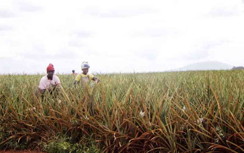 Agricultural investors as catalysts of rapid economic recovery