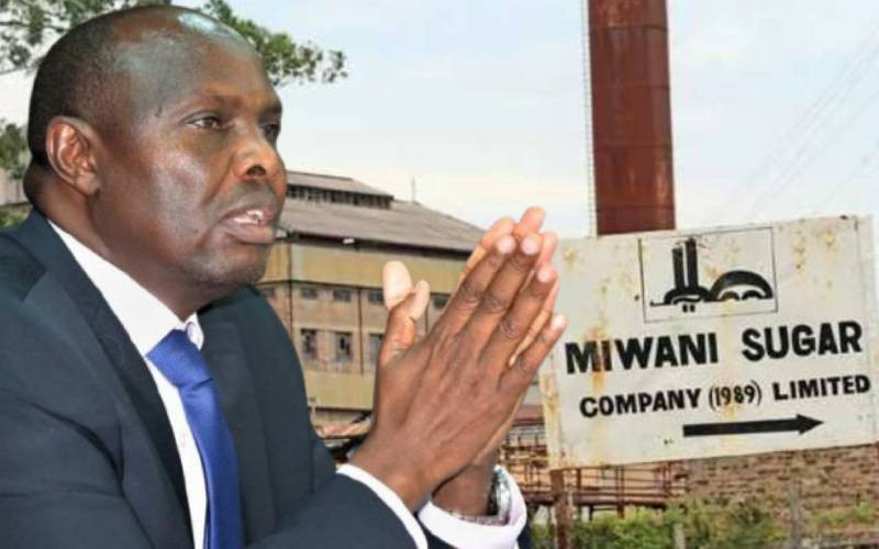 Miwani land circus: How Miwani Sugar's vast land became the target of a billion-shilling shadow battle