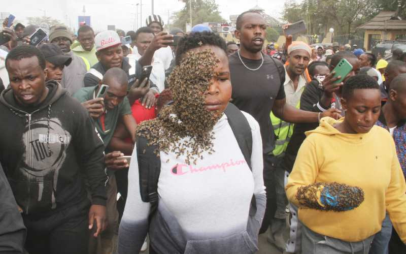 Two women attacked by swarm of bees for stealing Sh100, 000 in Kitengela