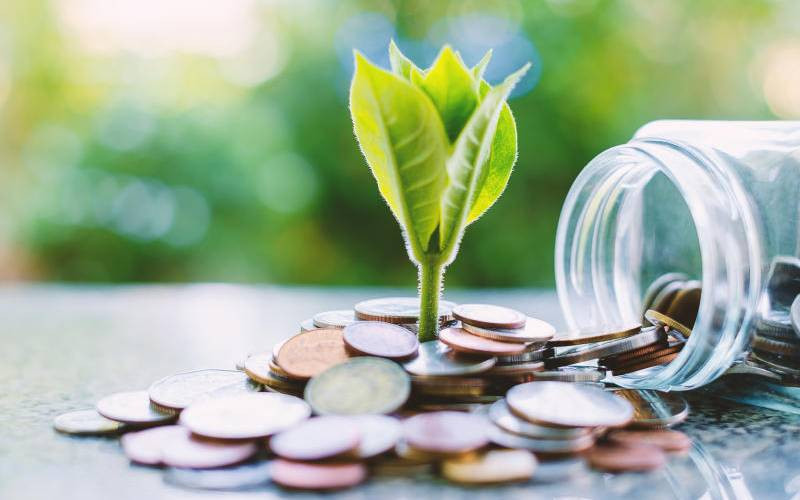 Local finance sector faces skills and technology gaps