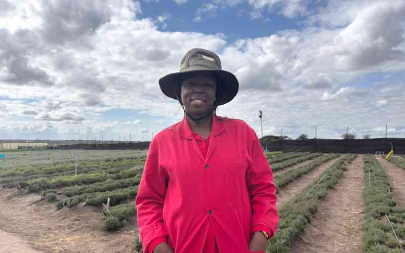 The spice sisters of Kisaju: How solar tech-savvy women are securing the global herb market