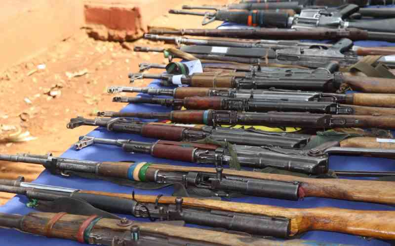 Security teams recover 18 guns, hundreds of stolen livestock in Isiolo crackdown