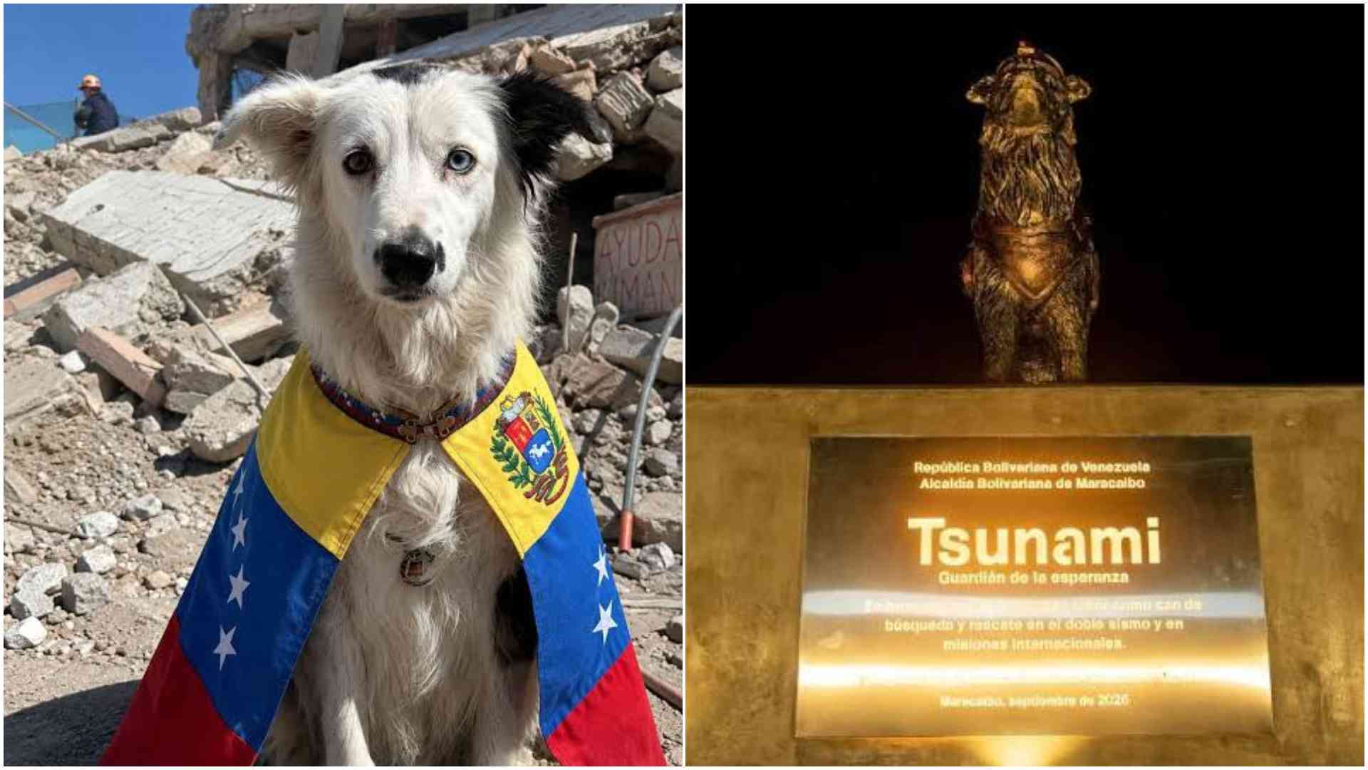Retired Venezuelan rescue dog Tsunami honoured with bronze statue