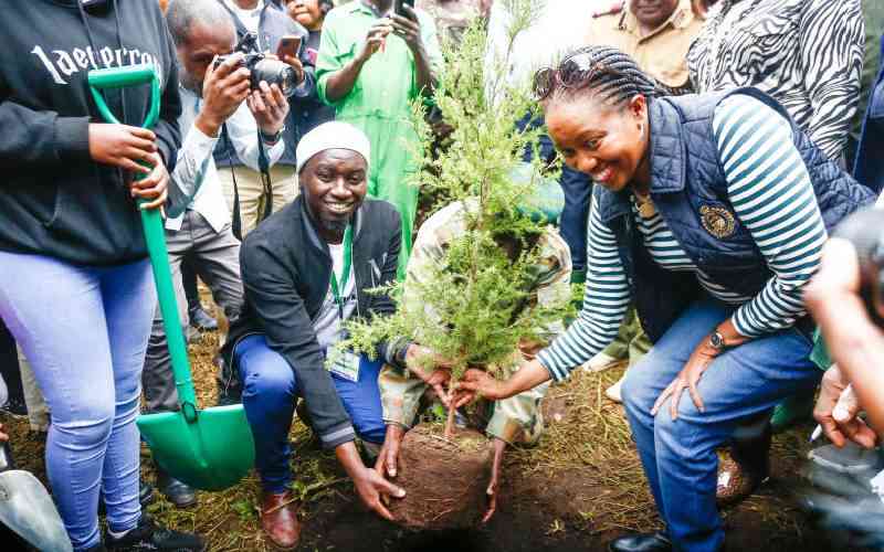 Tree planting: Tourists join bid to make Masai Mara green