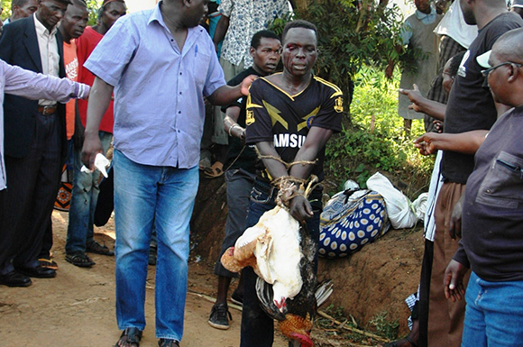 Chicken thief saved from mob baying for his blood