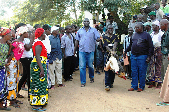 Chicken thief saved from mob baying for his blood