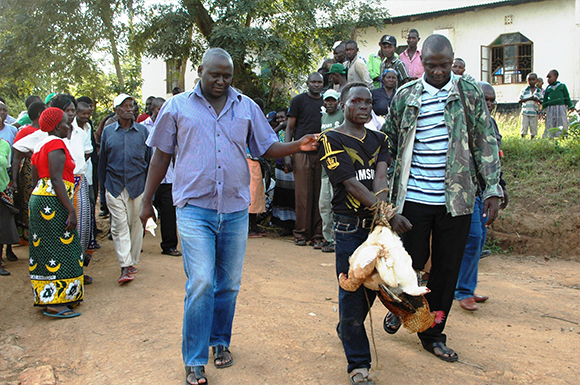 Chicken thief saved from mob baying for his blood