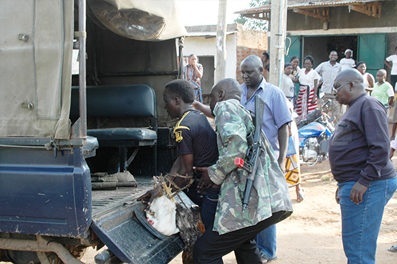 Chicken thief saved from mob baying for his blood