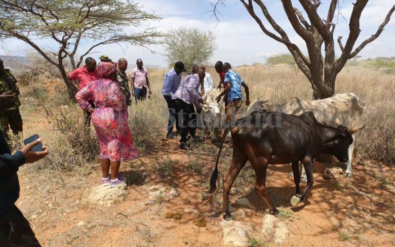 14 people killed, two injured in Samburu cattle raids